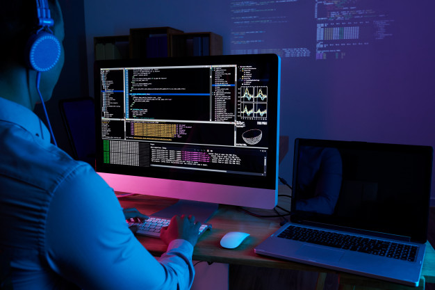 software developer